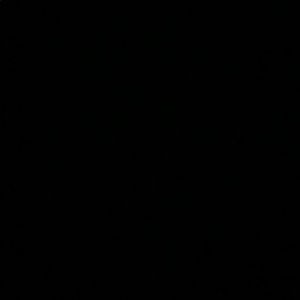 Meet your Posher, Bob